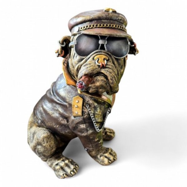 Hund Bulldogge mit Mütze